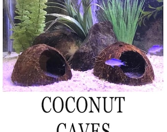 Aquarium Cave (2) Coconut Shell Caves/ Hides, pleco cave, shrimp cave, aquarium decoration, betta cave