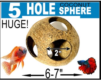Coconut Sphere 5 Holes the Ultimate Fish Playground coconut cave coconut hide betta fish cichlid fish cave