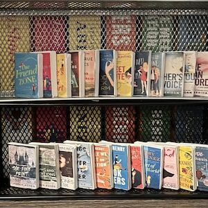 Customize your own mini library- includes up to 10 printable mini-book covers