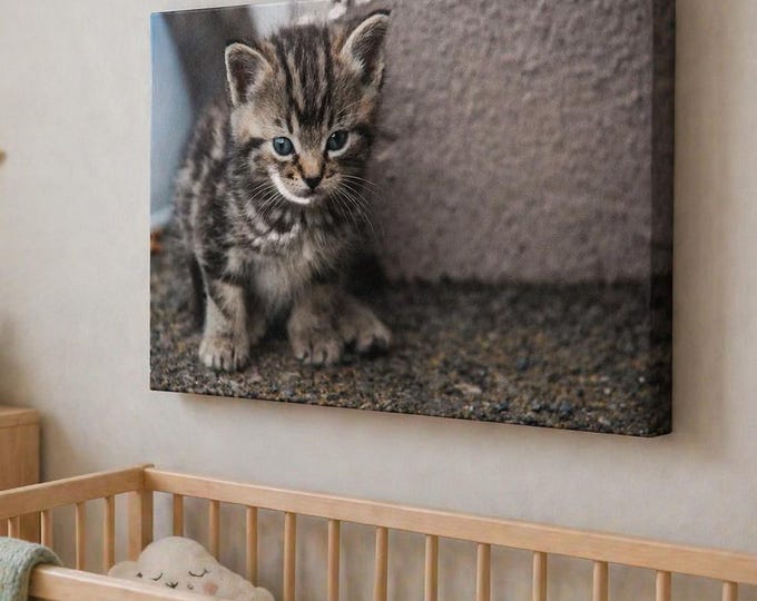 Kitten Photography Print | Adorable Cat Nursery Wall Art | Soft Pastel Animal Decor