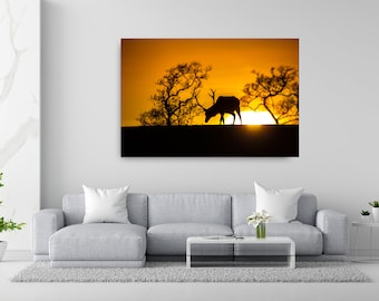 Stag Silhouette grazing at Sunset, Mountpanther, County Down