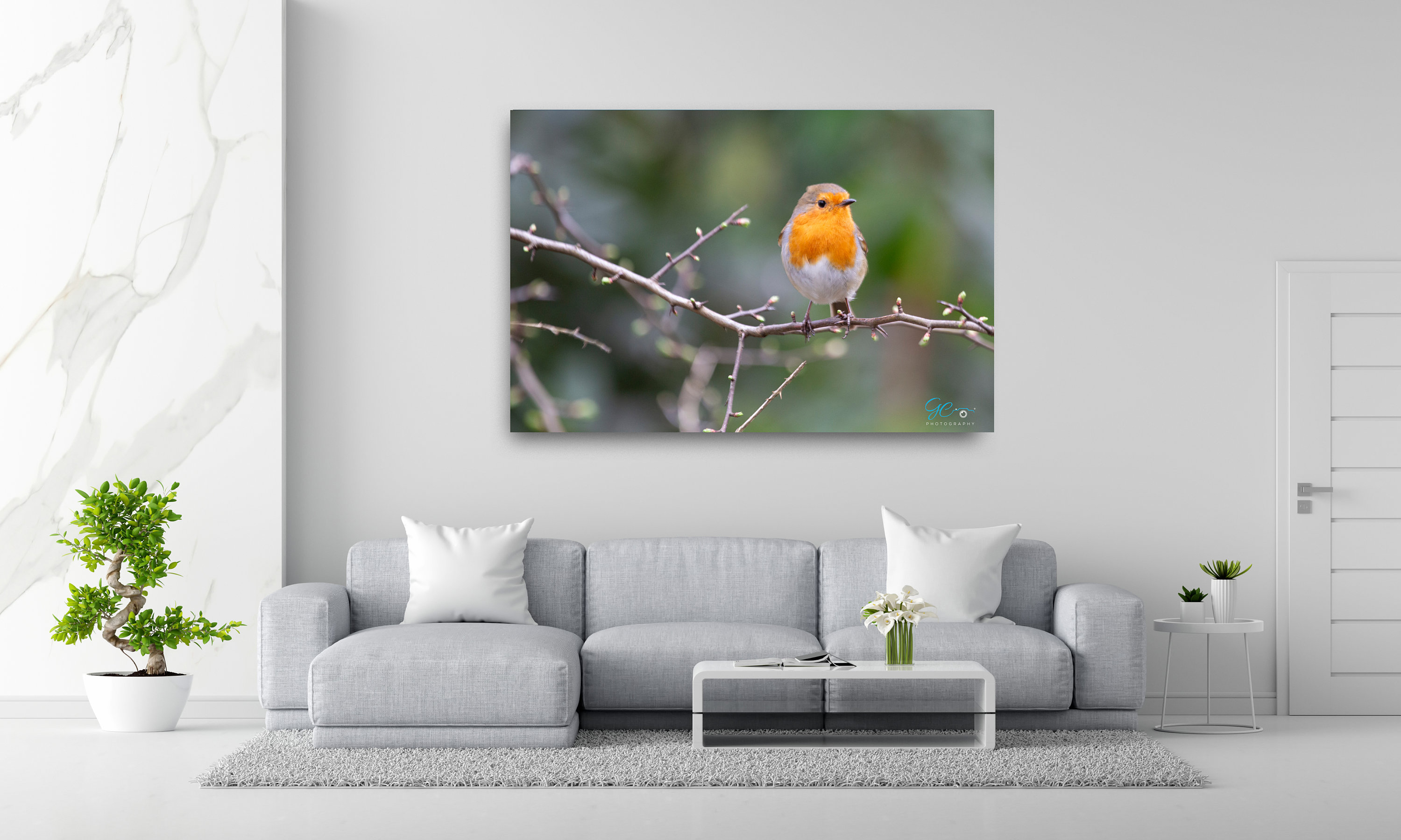 gallery photo