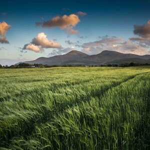 Las montañas de Mourne / Arte mural del condado de Down en Maghera / Fotografía de paisajes de Irlanda del Norte