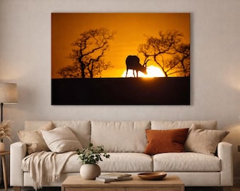 Stag Grazing Sunset Print | Mountpanther Wildlife Photography, Irish Nature Wall Art