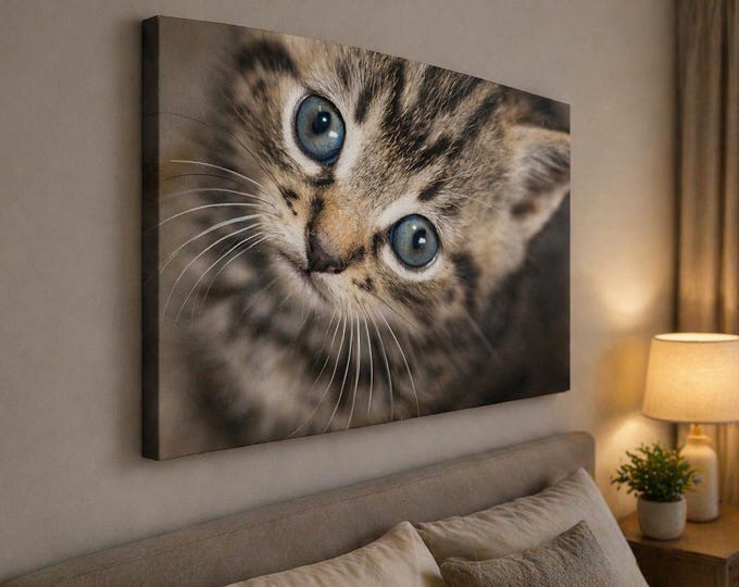 Kitten Close Up Wall Art | County Down Ireland Home Decor