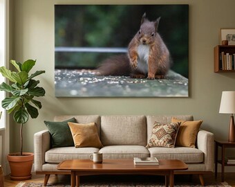 Red Squirrel at Silent Valley, County Down