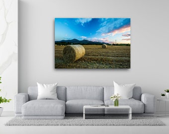 Bails of Straw, Maghera, County Down, N.Ireland