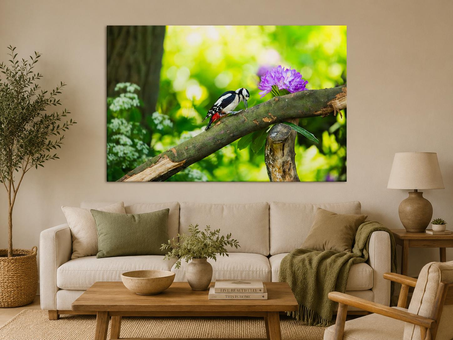 gallery photo