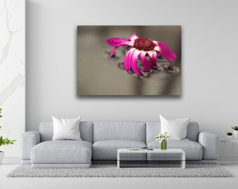Pink flower in water