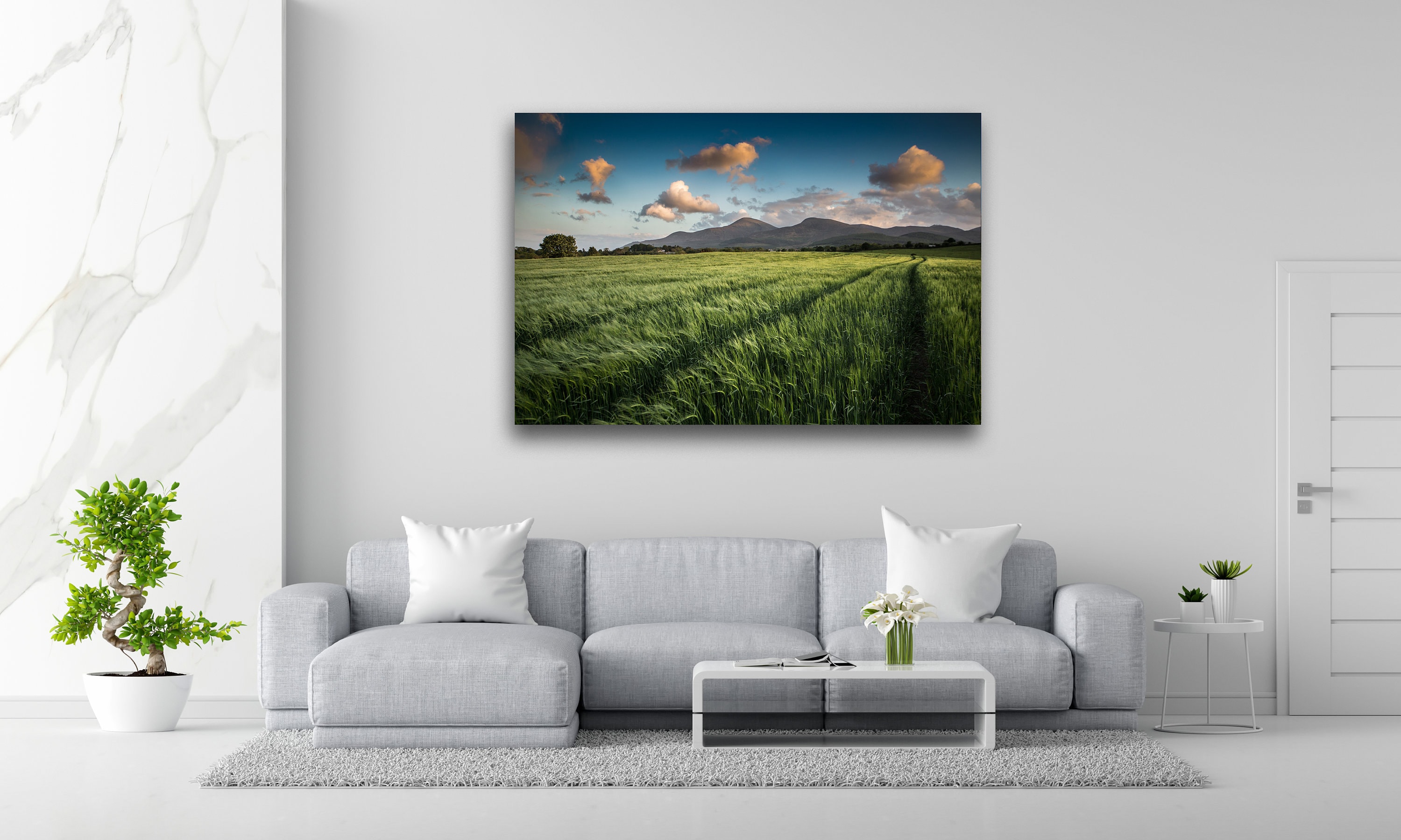 gallery photo