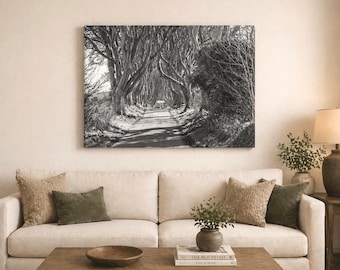 Dark Hedges Northern Ireland Photography Print | County Antrim Wall Art | Game of Thrones Kings Road | Moody Forest Landscape Photo