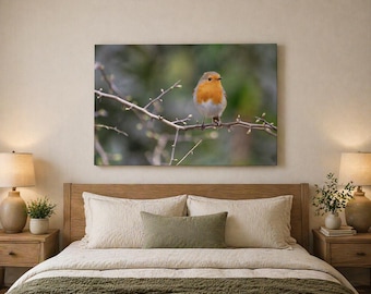 Robin Bird Close Up Photography, British Garden Wildlife Print