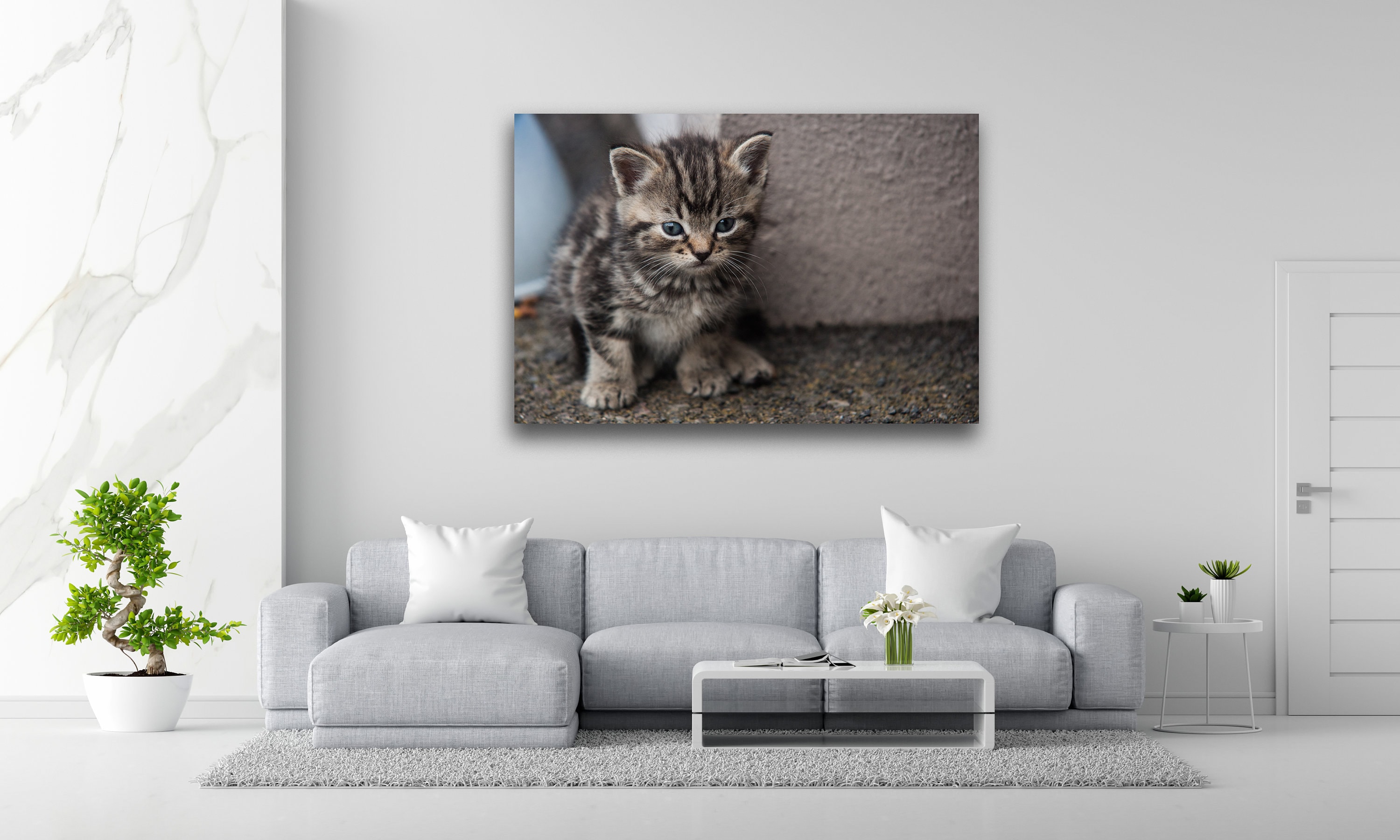 gallery photo