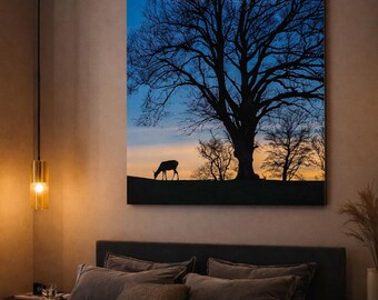 Stag Grazing Silhouette Print | Northern Ireland Wildlife Sunset Landscape Wall Art (Print & Canvas)