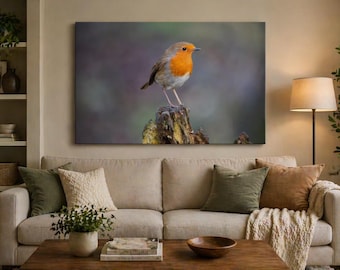 European Robin Close Up Wildlife Photography, Garden Bird Wall Art (Physical Print)