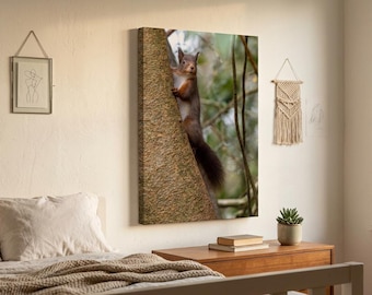 Red Squirrel Silent Valley Print, Northern Ireland Wildlife Art, Woodland Nature Decor