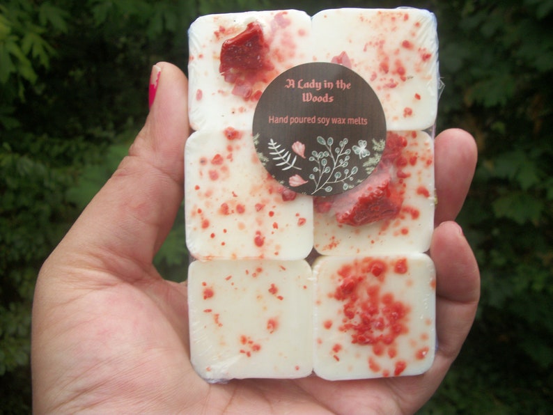 bacon soy wax melts gift for him novelty candle 6 bacon wax melts food candle bacon gift bacon candle Bacon scented wax melts