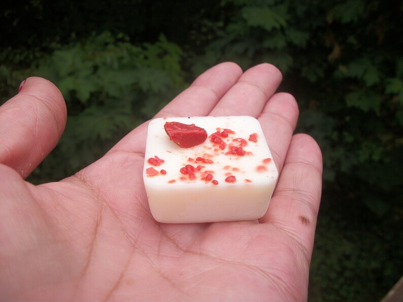 bacon soy wax melts gift for him novelty candle 6 bacon wax melts food candle bacon gift bacon candle Bacon scented wax melts