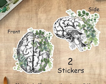 Stickers floraux anatomie du cerveau humain, décalcomanies en vinyle mat