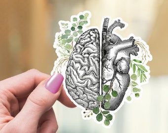 Head and heart,Human anatomy brain and heart,vinyl stickers,science stickers, scienze student gift,medical students,watercolor art, matt