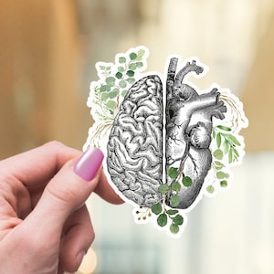 Head and heart,Human anatomy brain and heart,vinyl stickers,science stickers, scienze student gift,medical students,watercolor art, matt