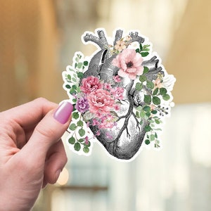 Spring floral Human heart pink rose,Human anatomy,vinyl stickers,science stickers,medical students,watercolor art,matt stickers