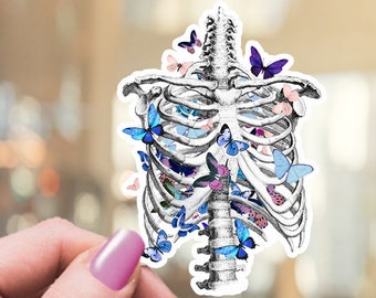 Ribcage Blue Butterflies Vinyl Sticker, Anatomy Student Gift