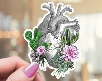 Human Heart Succulent Sticker, Floral Anatomy Art, Medical Science Sticker