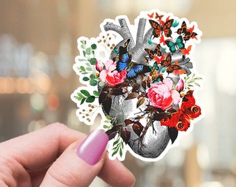 Autocollant anatomique floral coeur humain, cardiologie, autocollants en vinyle, autocollants en science, cadeau étudiant en science, étudiants en médecine, aquarelle, mat