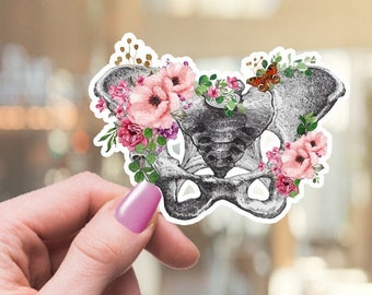 Floral Pelvis Anatomy Vinyl Sticker, Science Student Gift