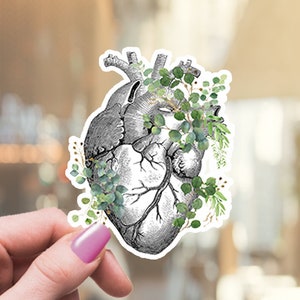 Spring floral Human heart eucalyptus leaves,Human anatomy,vinyl stickers,science stickers,medical students,watercolor art,matt stickers