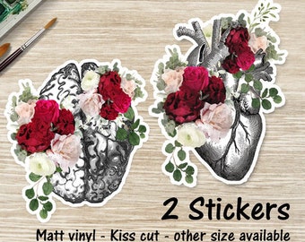 Anatomical Heart and Brain Floral Stickers, Science Art, Medical Student Gift