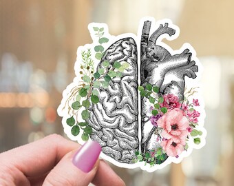 balanced head and heart, healthy mind, be kind to your mind,Human anatomy, heart,brain,vinyl stickers,science ,medical students