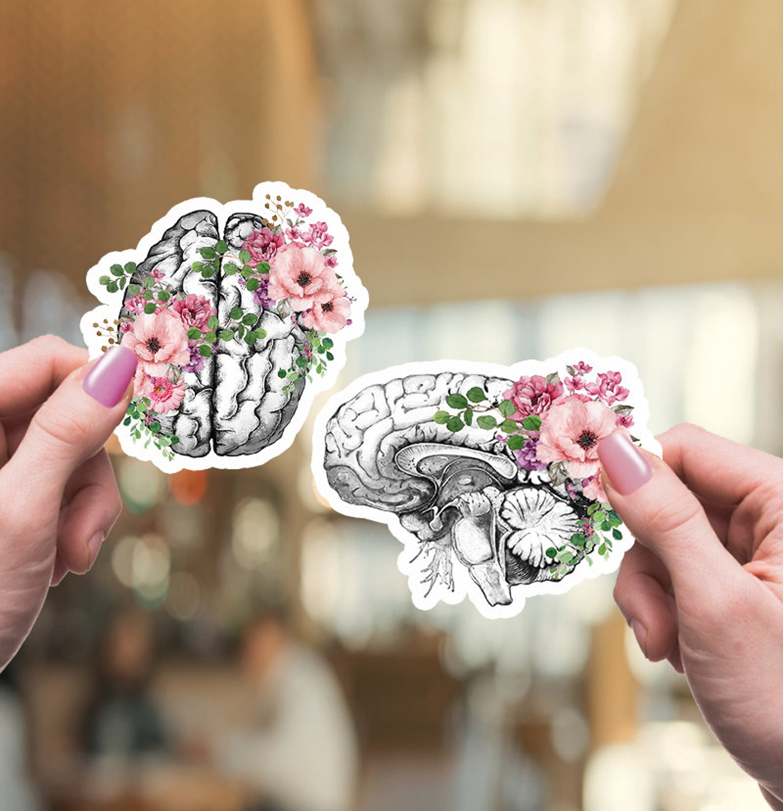 Floral Brain Stickers, Anatomy Art, Science Student Gift - Etsy