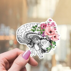 Human Brain stickers, anatomy flowers stickers,vinyl stickers,science stickers, scienze student gift,medical students,watercolor art, matt