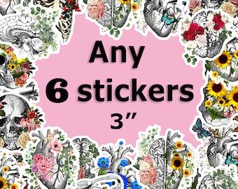 Choose Any Set Sticker Pack matte vinyl sticker kiss cut  decals anatomy floral stickers