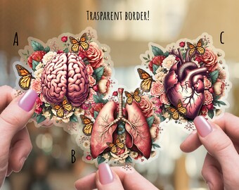 Autocollants poumons, autocollants cerveau, autocollants coeur humain, organes humains, anatomie, autocollants en vinyle transparent mat, cadeaux pour étudiants en sciences, étudiants en médecine