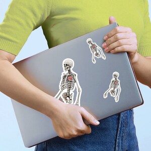 Peut inclure: Trois autocollants pour ordinateur portable repr&eacute;sentant une illustration anatomique d&eacute;taill&eacute;e d'un squelette humain avec un c&oelig;ur rouge dans la cavit&eacute; thoracique.
