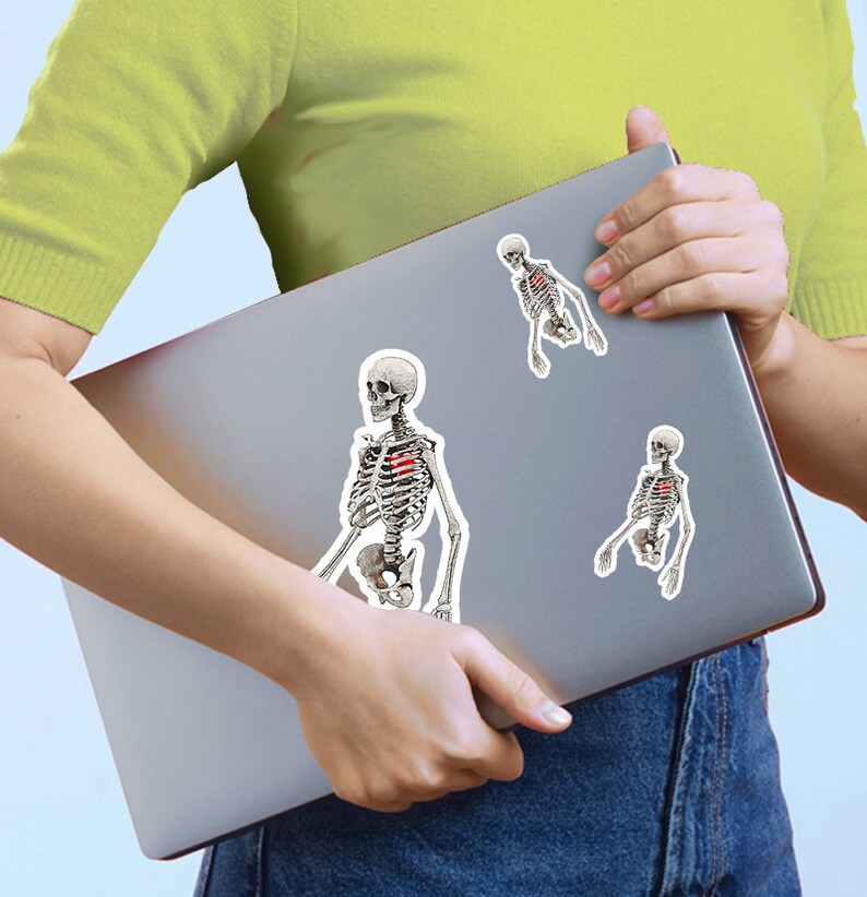 Peut inclure: Trois autocollants pour ordinateur portable repr&eacute;sentant une illustration anatomique d&eacute;taill&eacute;e d'un squelette humain avec un c&oelig;ur rouge dans la cavit&eacute; thoracique.