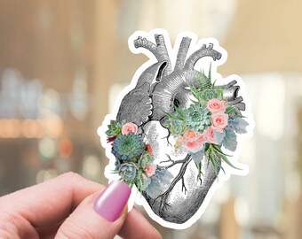 Floral Heart Anatomy Sticker, Succulent Plant, Medical Student Gift