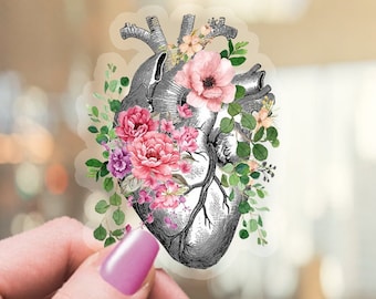 Clear trasparent vinyl stickers,spring floral Human heart pink rose,Human anatomy,science stickers,medical students, watercolor art