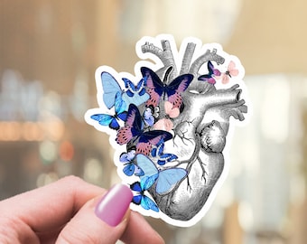 Human heart blue butterflies,Human anatomy,vinyl stickers,science stickers,medical students,watercolor art,matt stickers