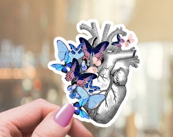 Anatomical Heart Vinyl Sticker, Blue Butterflies, Watercolor Art
