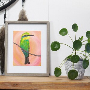 Rainbow Bee-eater 8x10&quot; Fine Art Print