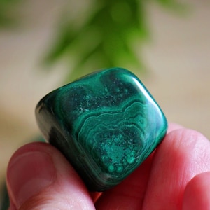 Malachite Tumbles -  Polished Piece - Tumbled Stone - Natural - Cut - Sparkle - Crystal - Gemstone - Rock - Decor - Green - Heart - Chakra