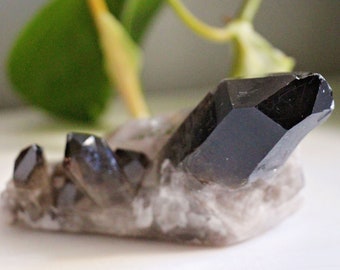 Smoky Quartz Cluster - A Grade - Grounding - Crystal - Gemstone - Natural - Raw - Home Decor - Healing - Energy - #1