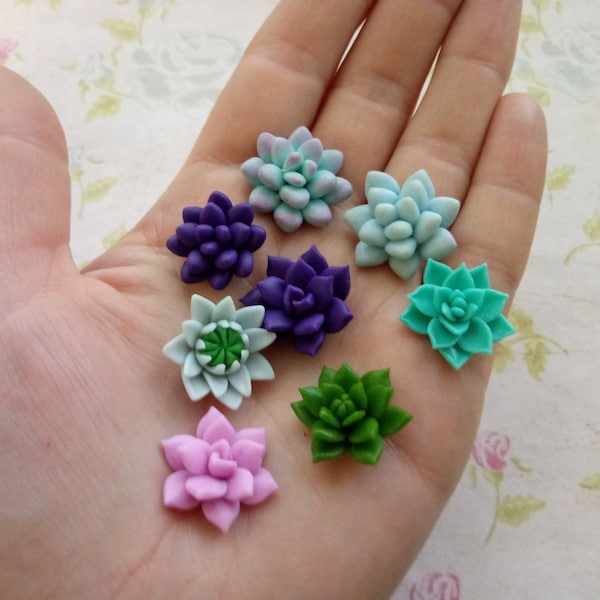 Silicone molds in the form of Succulents of various shapes and sizes, as well as a mix of Succulents. Molds for polymer clay and plastic.