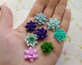 Silicone molds in the form of Succulents of various shapes and sizes, as well as a mix of Succulents. Molds for polymer clay and plastic.