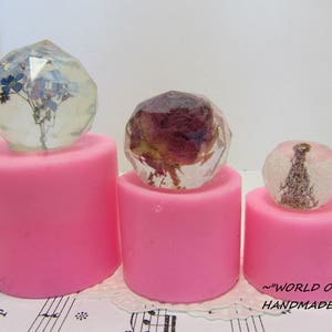 Puede incluir: Tres moldes de silicona rosa con orbes de vidrio transparente llenos de flores secas. Los orbes están encima de los moldes. Los moldes están sobre un fondo de notas musicales.