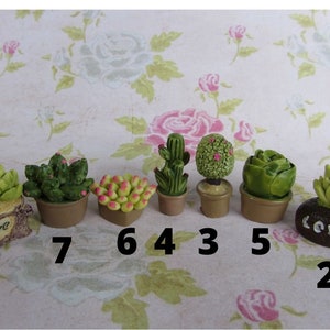 Könnte beinhalten: Zehn Miniatur-Sukkulente in verschiedenen Formen und Größen in Töpfen, mit den Zahlen 1 bis 7 und 2 bis 5 unter jedem Topf. Die Töpfe sind mit dem Wort "Love" verziert.